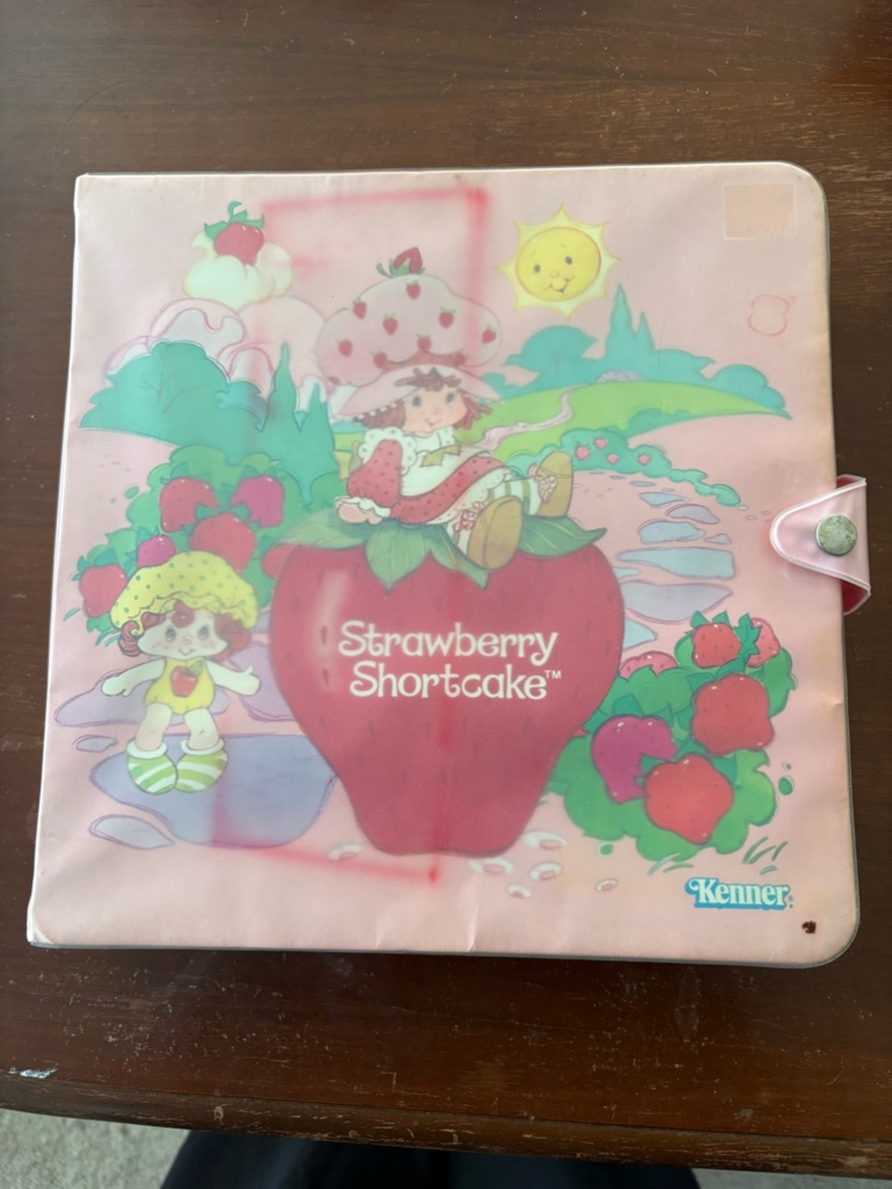 Vintage Strawberry Shortcake story book case